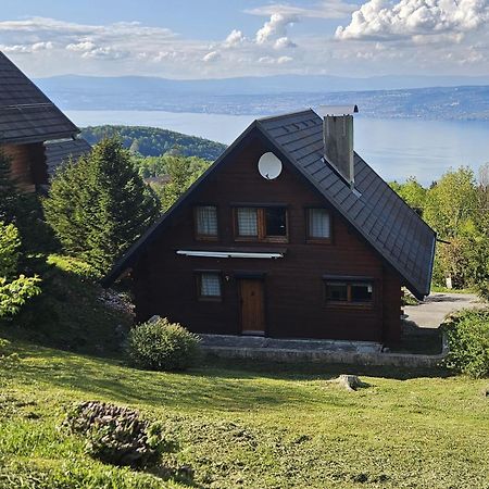 Chalet Les Alpages Vue Panoramique Sur Le Lac Leman Thollon-les-Mémises Extérieur photo