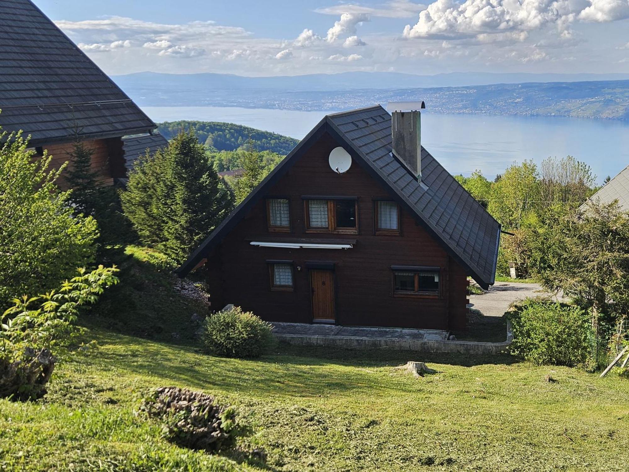 Chalet Les Alpages Vue Panoramique Sur Le Lac Leman Thollon-les-Mémises Extérieur photo